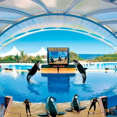 Апартаменты Atico Con Piscina En El Centro Puerto De La Cruz - Edificio Girasol